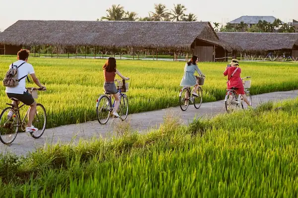 a-expat-biking-through-lush-green-rice-fields.jpg