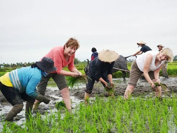 a-foreigners-and-locals-planting-rice-seedlings-in-paddy-field.jpg