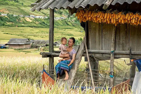 a-traditional-wooden-house-on-stilts-surrounded-by-palm-trees.jpg