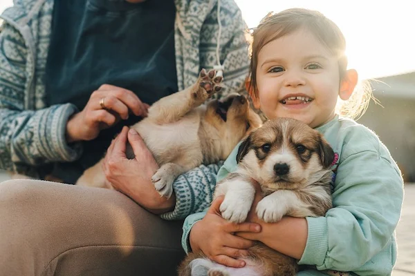 Family laughing with their dog - dog as friend - part of the family