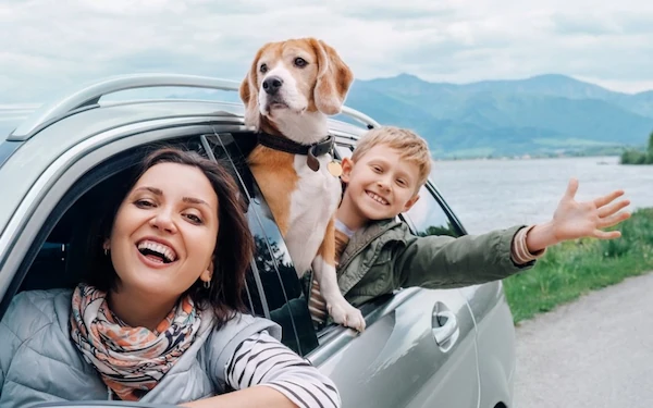 Dog looking out the window of a car during a road trip - travel with dog - road trip fun