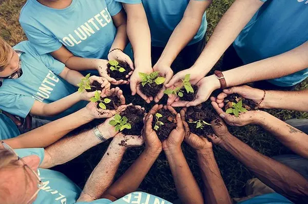  volunteers-planting-trees-and-smiling