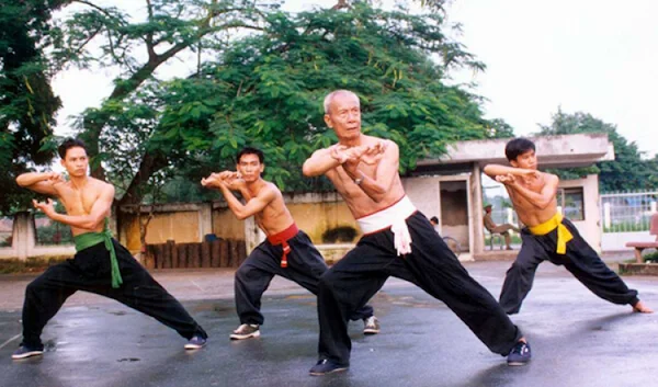 vietnamese-martial-arts-build-a-stronger-more-flexible-you