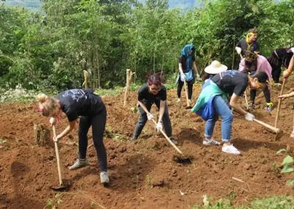 expat-volunteers-planting-trees-in-vietnam