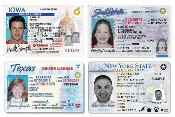 vietnam-drivers-license-us-driver-license